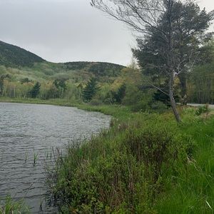 Meet your Posher, Cecilia